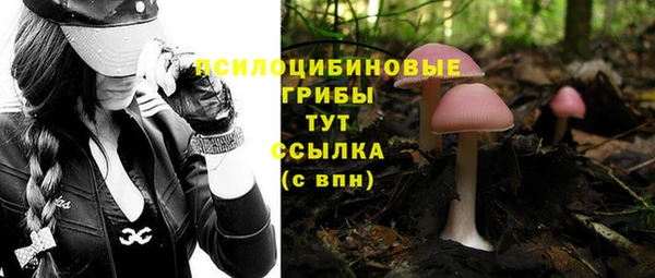 mdpv Нефтегорск